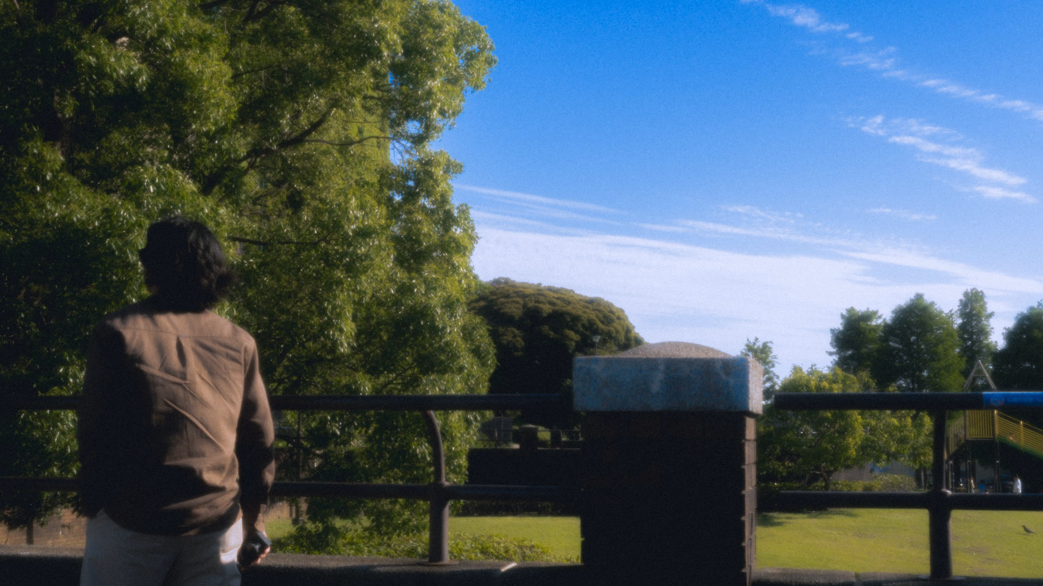 茶色いシャツの男の人が、手すりの後ろから公園の芝生を見ています。