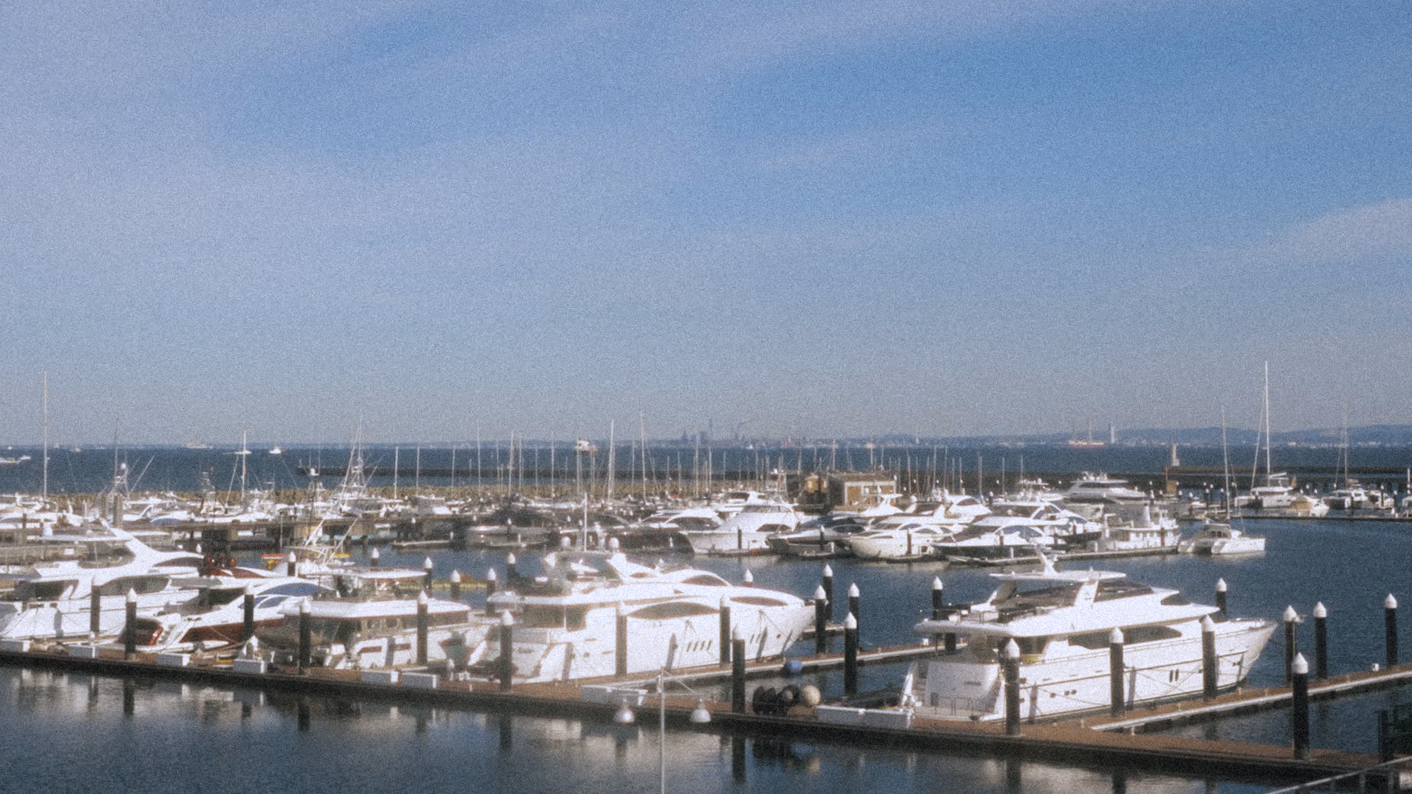 Bright sunny scene with warm yellow-toned film preset.