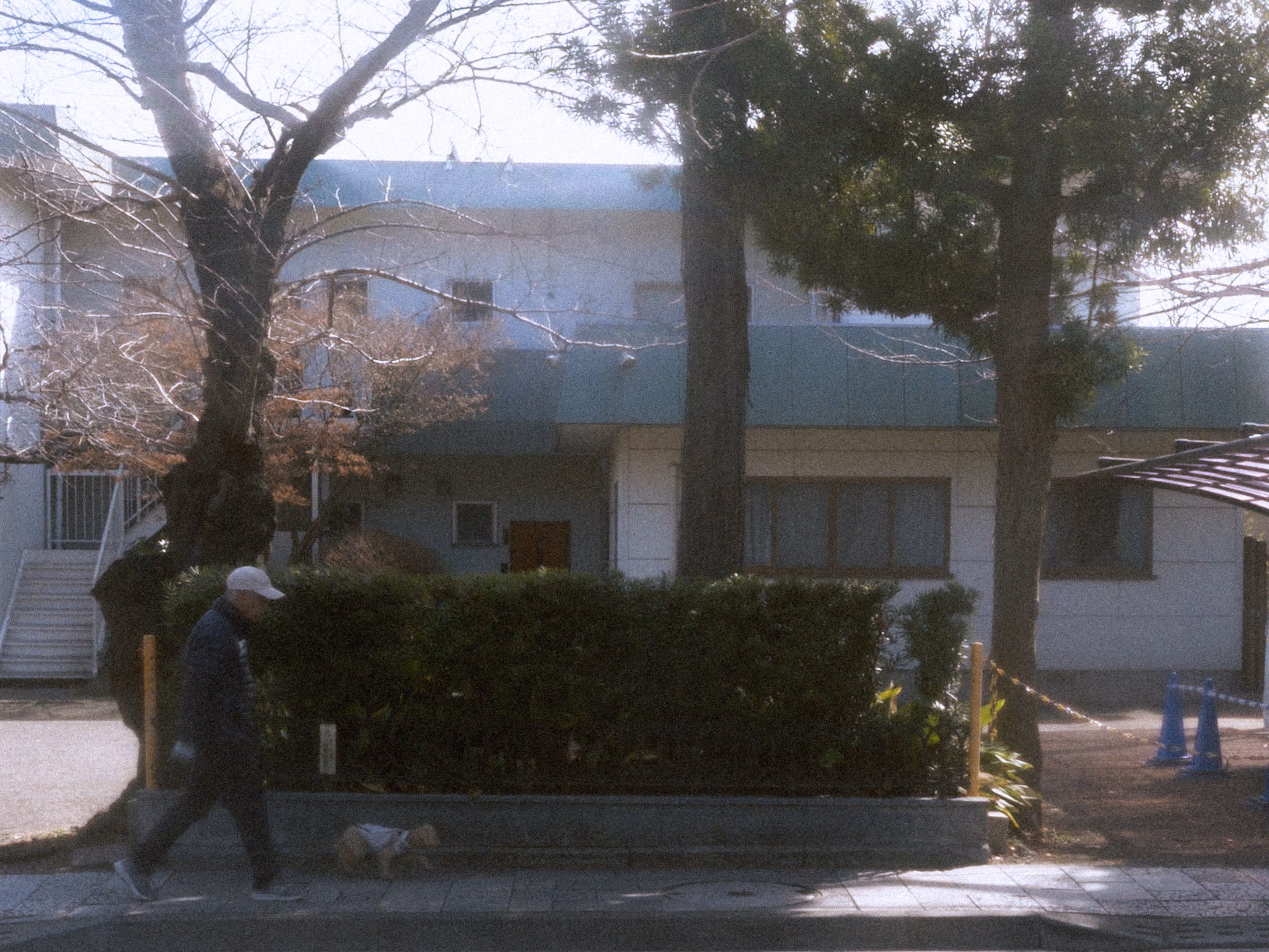 An old man walking his dog.