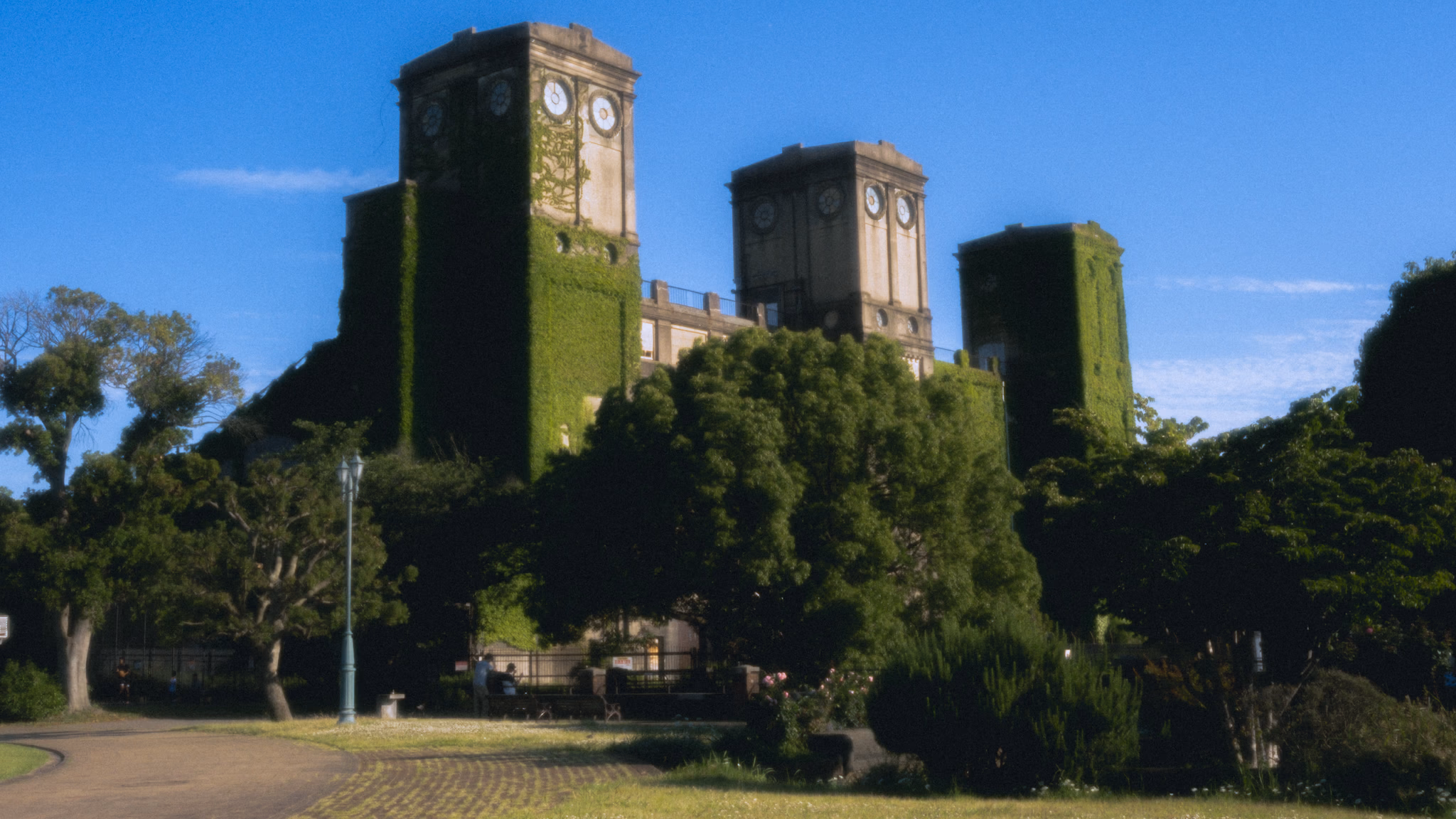 Ivy-covered concrete towers of a ruined grandstand rising above the trees.